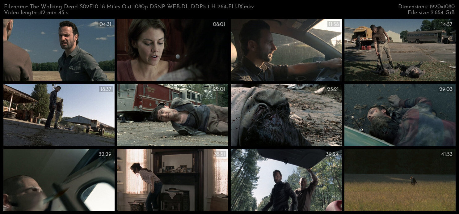 The Walking Dead S02E10 18 Miles Out 1080p DSNP WEB DL DDP5 1 H 264 FLUX TGx