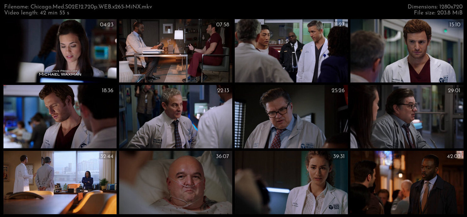 Chicago Med S02E12 720p WEB x265 MiNX TGx