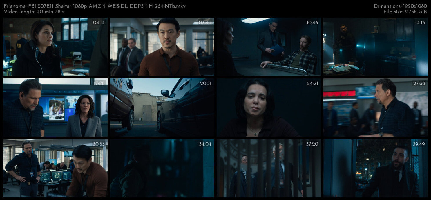 FBI S07E11 Shelter 1080p AMZN WEB DL DDP5 1 H 264 NTb TGx