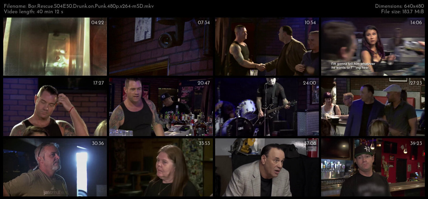 Bar Rescue S04E50 Drunk on Punk 480p x264 mSD TGx