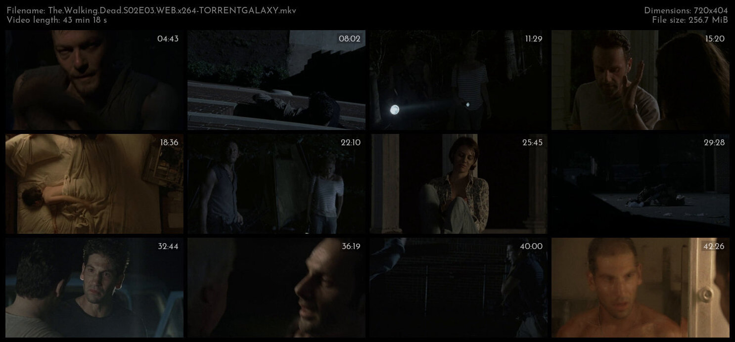 The Walking Dead S02E03 WEB x264 TORRENTGALAXY