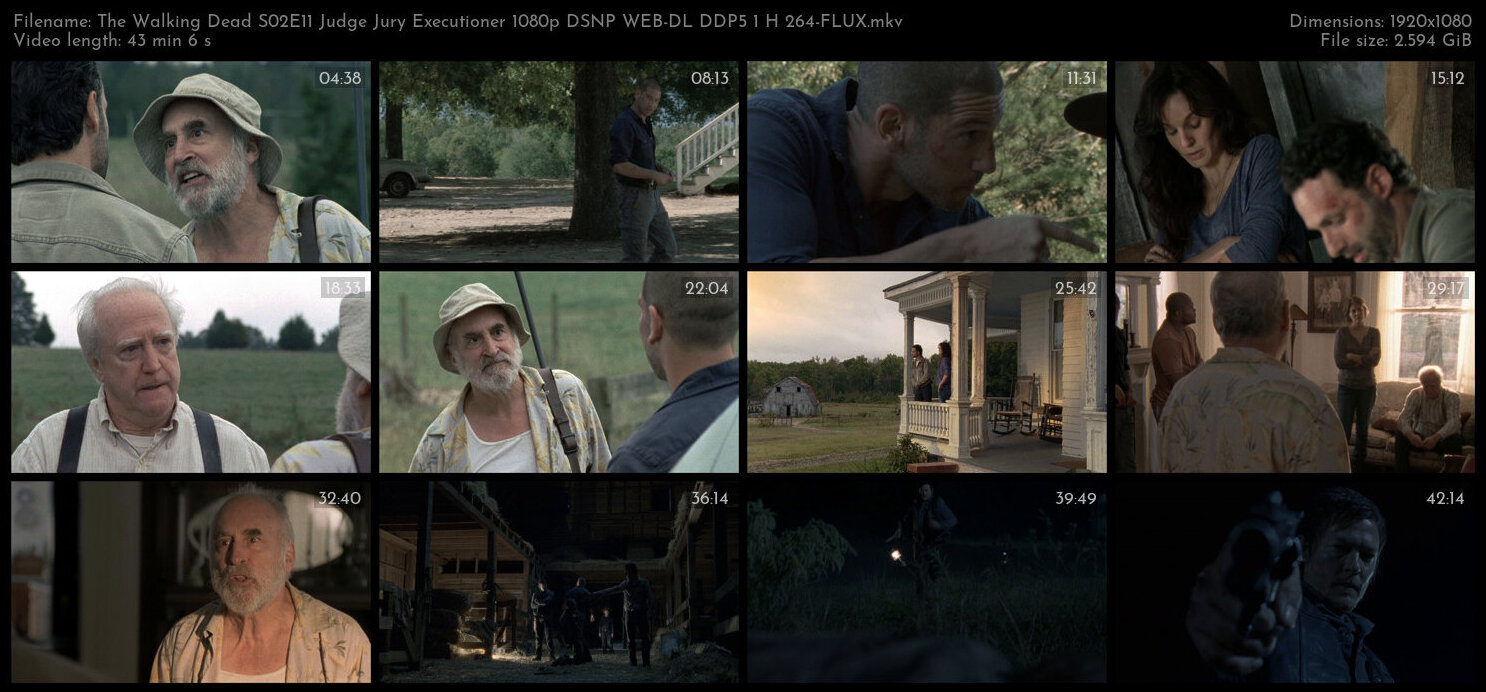 The Walking Dead S02E11 Judge Jury Executioner 1080p DSNP WEB DL DDP5 1 H 264 FLUX TGx