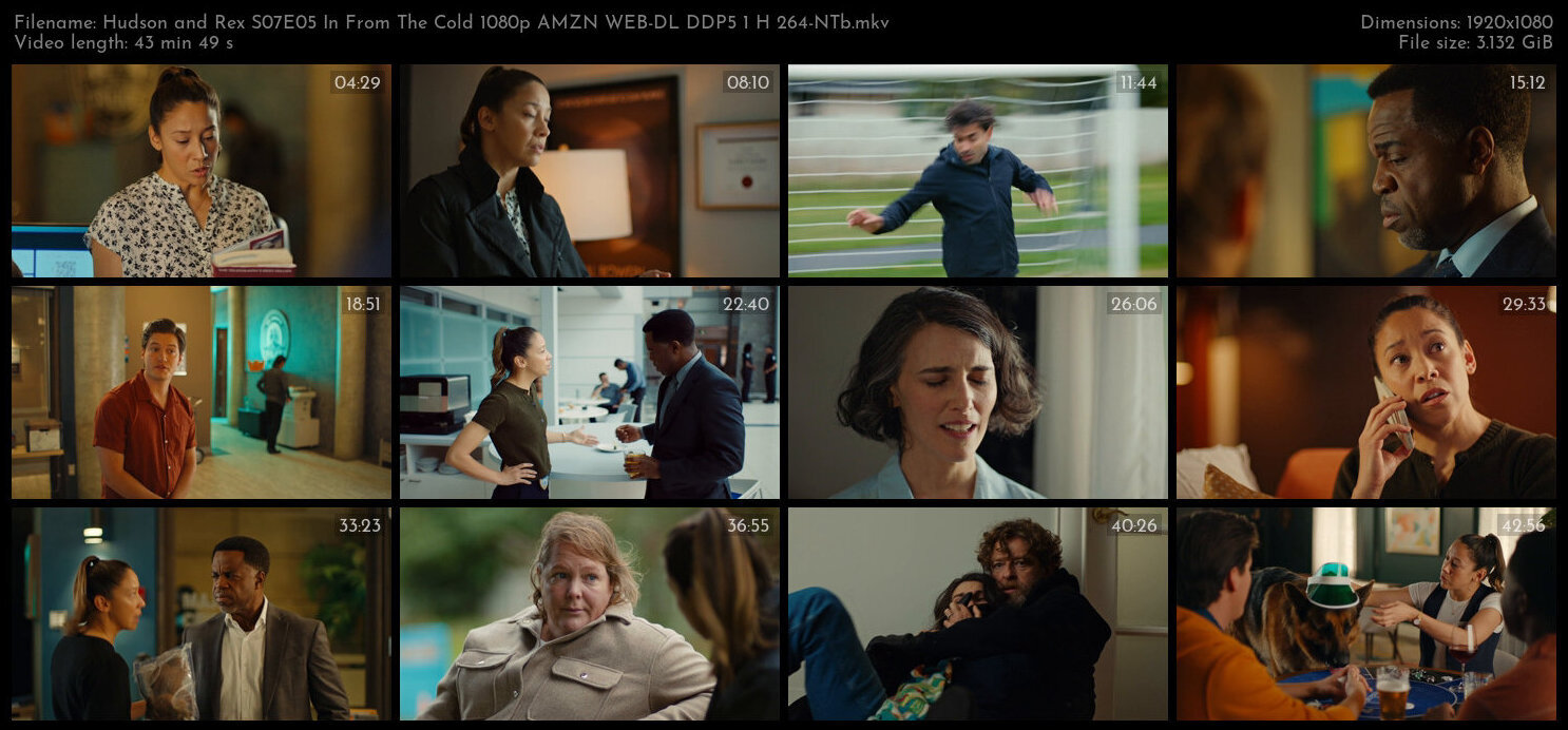 Hudson and Rex S07E05 In From The Cold 1080p AMZN WEB DL DDP5 1 H 264 NTb TGx