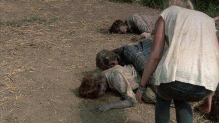 The Walking Dead S02E08 WEB x264 TORRENTGALAXY