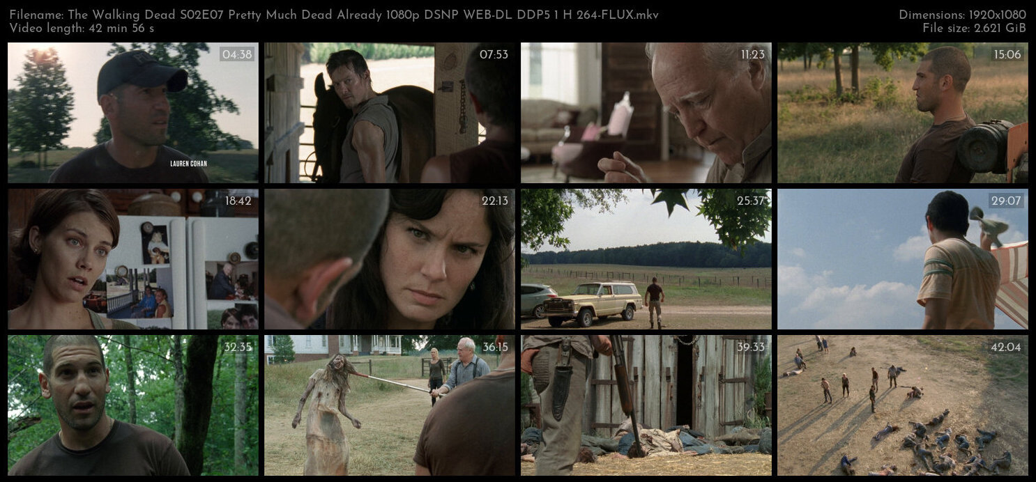 The Walking Dead S02E07 Pretty Much Dead Already 1080p DSNP WEB DL DDP5 1 H 264 FLUX TGx