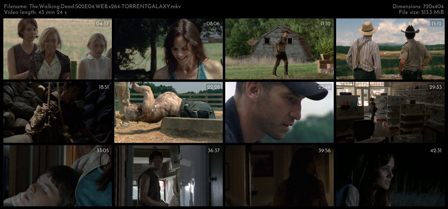 The Walking Dead S02E04 WEB x264 TORRENTGALAXY