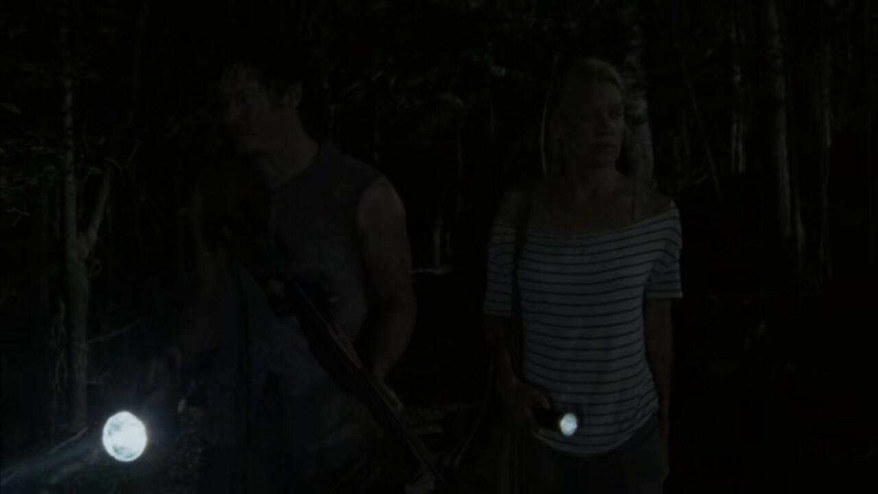 The Walking Dead S02E03 720p WEB x265 MiNX TGx