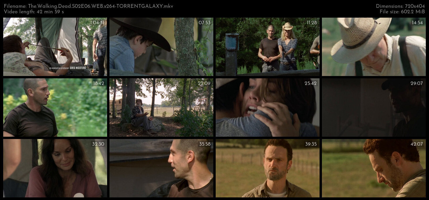 The Walking Dead S02E06 WEB x264 TORRENTGALAXY