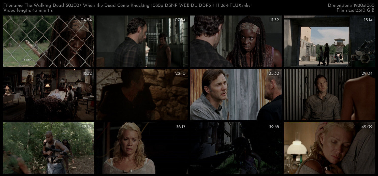 The Walking Dead S03E07 When the Dead Come Knocking 1080p DSNP WEB DL DDP5 1 H 264 FLUX TGx