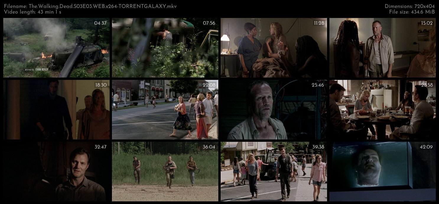 The Walking Dead S03E03 WEB x264 TORRENTGALAXY