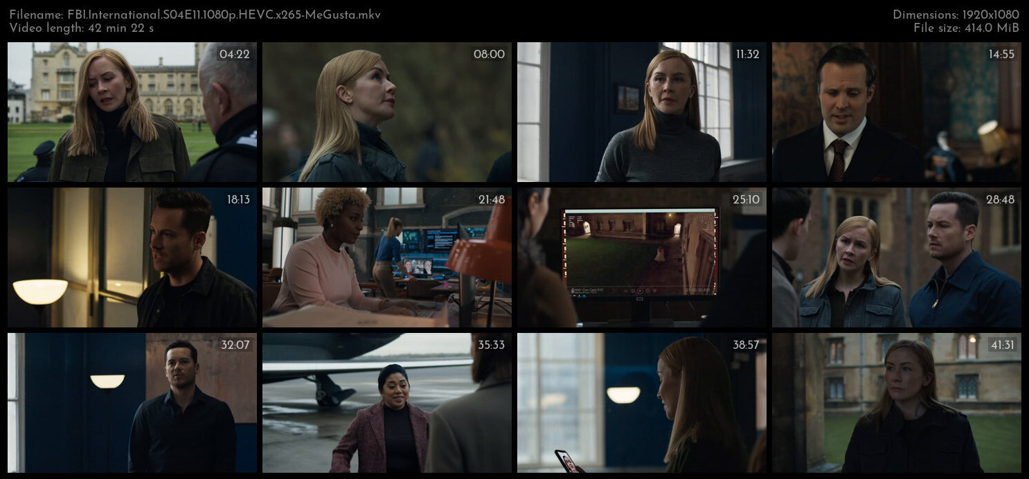 FBI International S04E11 1080p HEVC x265 MeGusta TGx