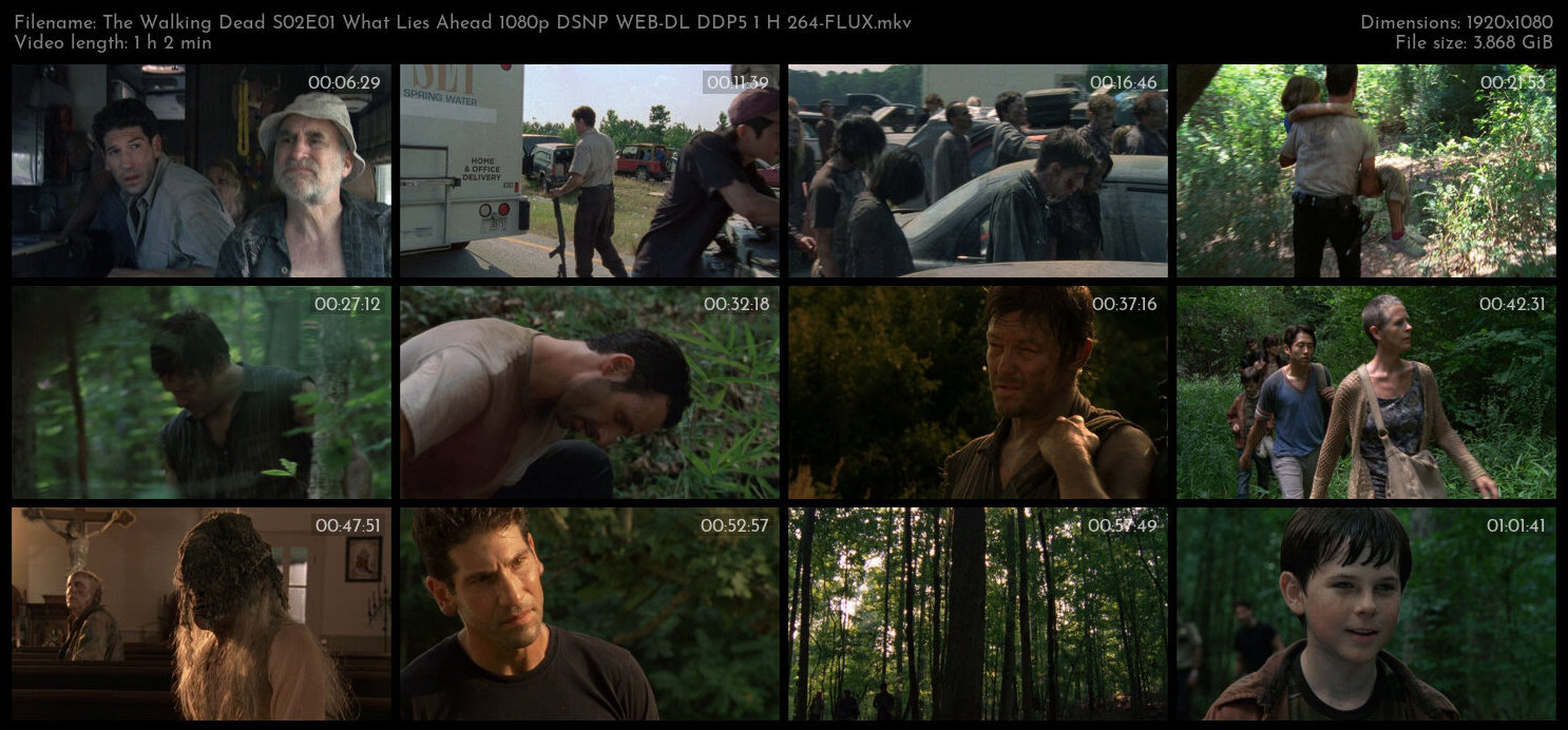 The Walking Dead S02E01 What Lies Ahead 1080p DSNP WEB DL DDP5 1 H 264 FLUX TGx