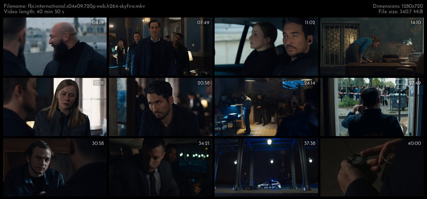 FBI International S04E09 720p WEB H264 SKYFiRE TGx