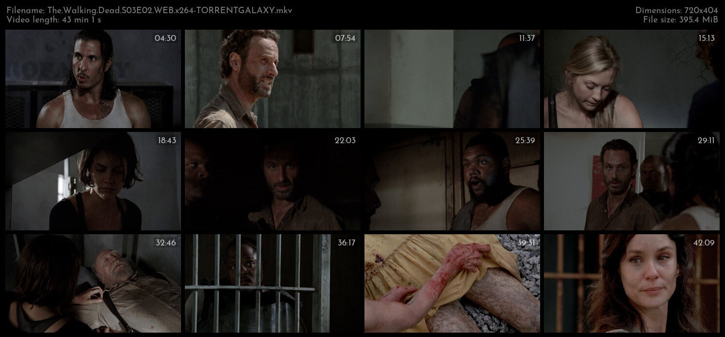 The Walking Dead S03E02 WEB x264 TORRENTGALAXY