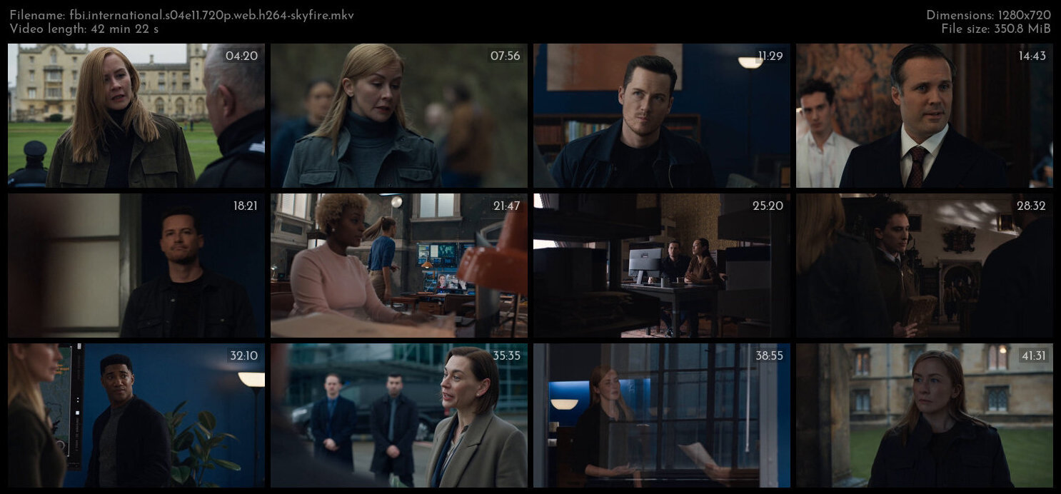 FBI International S04E11 720p WEB H264 SKYFiRE TGx