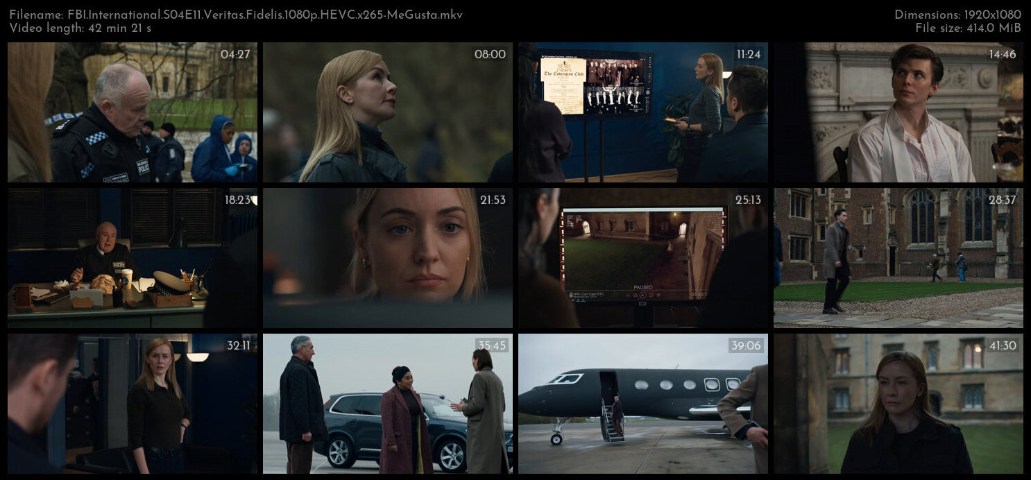 FBI International S04E11 Veritas Fidelis 1080p HEVC x265 MeGusta TGx