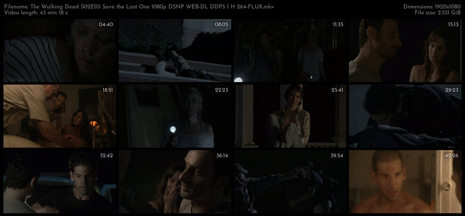 The Walking Dead S02E03 Save the Last One 1080p DSNP WEB DL DDP5 1 H 264 FLUX TGx