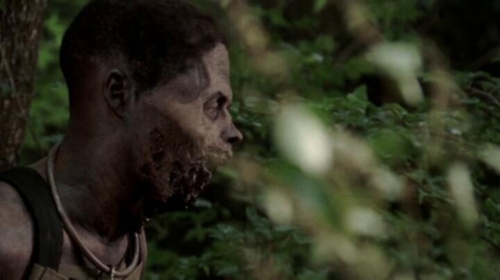 The Walking Dead S03E03 WEB x264 TORRENTGALAXY