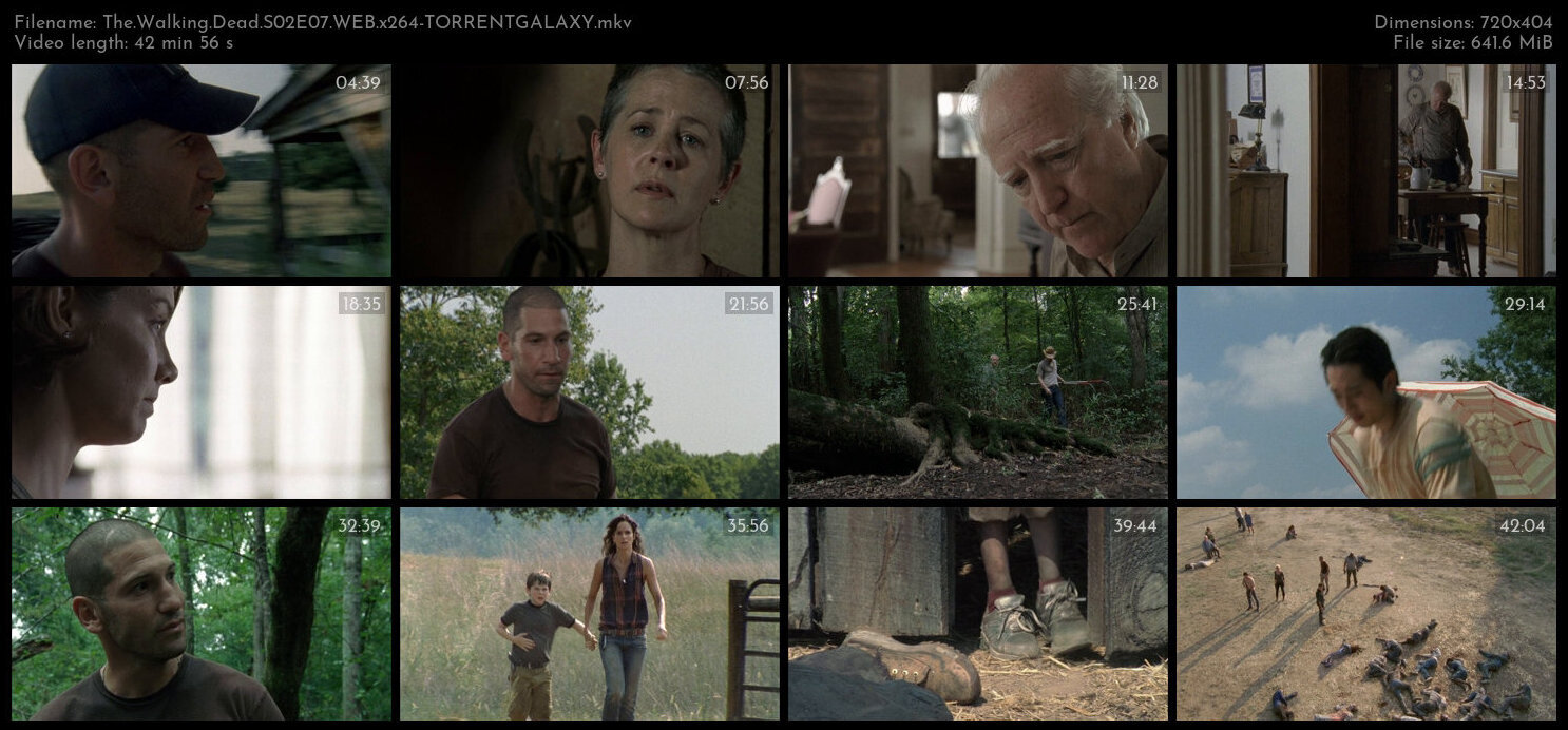 The Walking Dead S02E07 WEB x264 TORRENTGALAXY