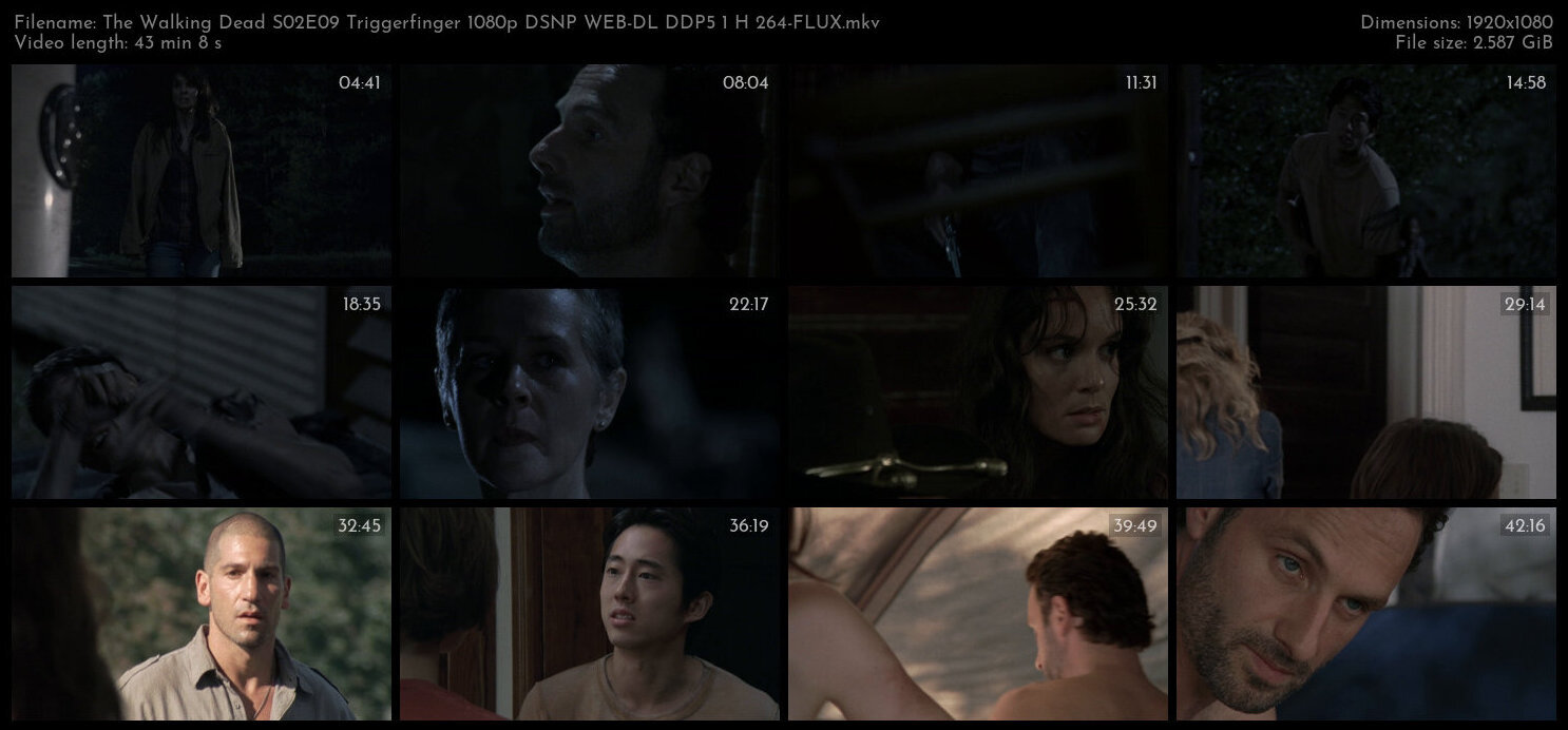 The Walking Dead S02E09 Triggerfinger 1080p DSNP WEB DL DDP5 1 H 264 FLUX TGx