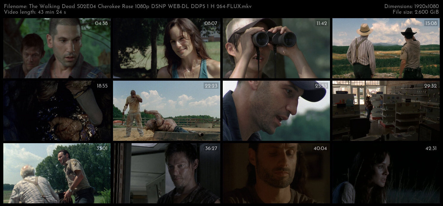 The Walking Dead S02E04 Cherokee Rose 1080p DSNP WEB DL DDP5 1 H 264 FLUX TGx