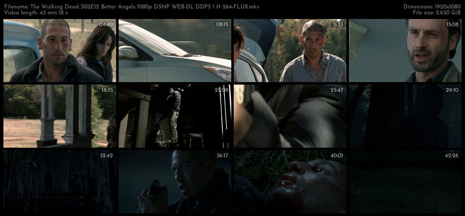 The Walking Dead S02E12 Better Angels 1080p DSNP WEB DL DDP5 1 H 264 FLUX TGx