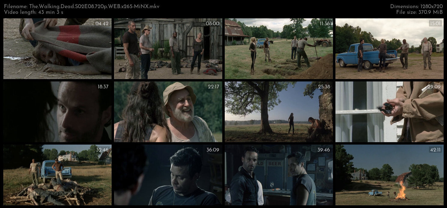 The Walking Dead S02E08 720p WEB x265 MiNX TGx