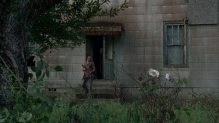 The Walking Dead S02E04 WEB x264 TORRENTGALAXY