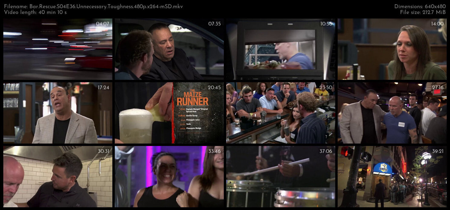 Bar Rescue S04E36 Unnecessary Toughness 480p x264 mSD TGx