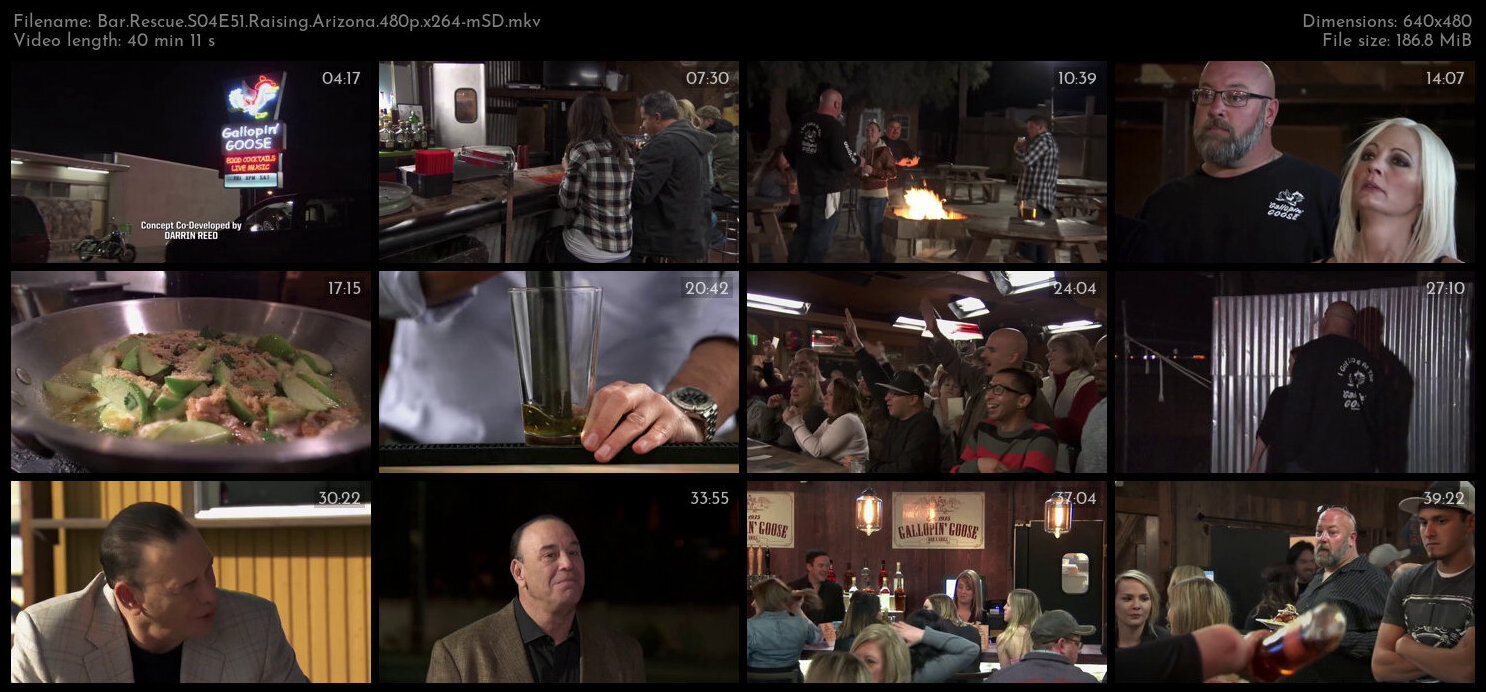 Bar Rescue S04E51 Raising Arizona 480p x264 mSD TGx