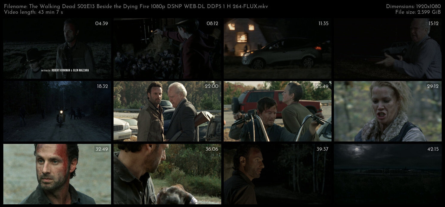 The Walking Dead S02E13 Beside the Dying Fire 1080p DSNP WEB DL DDP5 1 H 264 FLUX TGx