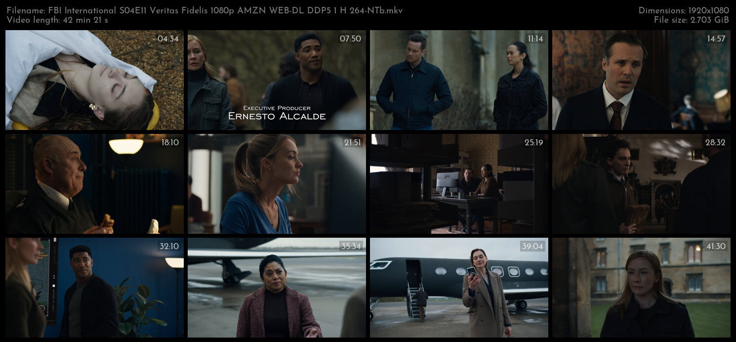 FBI International S04E11 Veritas Fidelis 1080p AMZN WEB DL DDP5 1 H 264 NTb TGx