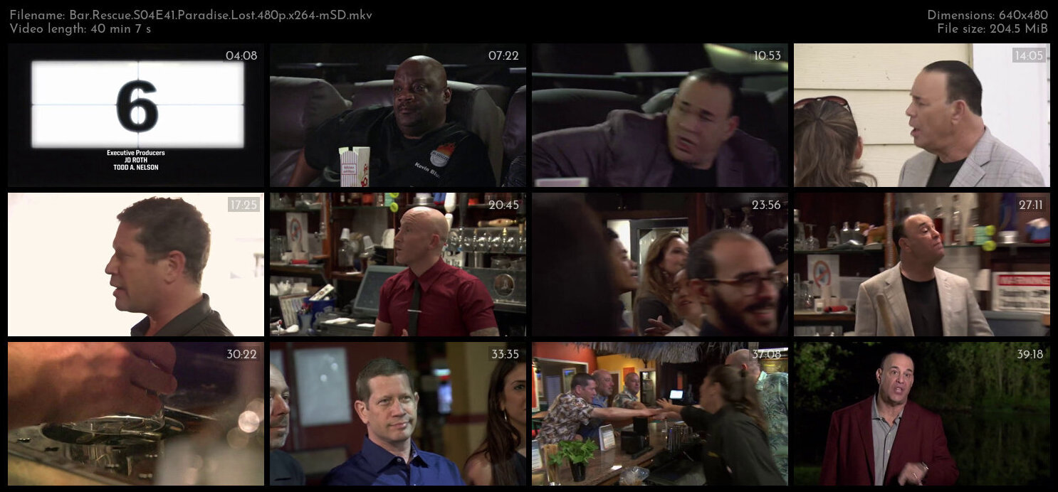 Bar Rescue S04E41 Paradise Lost 480p x264 mSD TGx