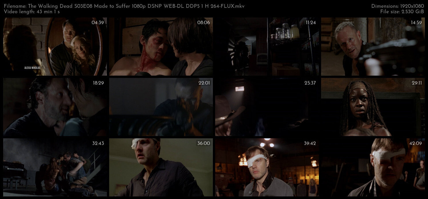 The Walking Dead S03E08 Made to Suffer 1080p DSNP WEB DL DDP5 1 H 264 FLUX TGx