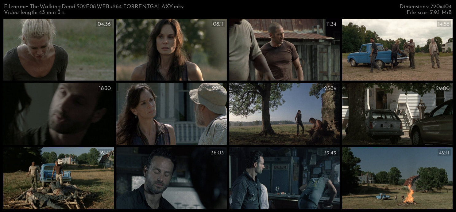 The Walking Dead S02E08 WEB x264 TORRENTGALAXY