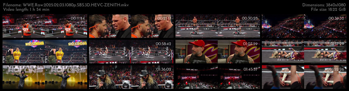 WWE Raw 2025 02 03 1080p SBS 3D HEVC ZENITH TGx