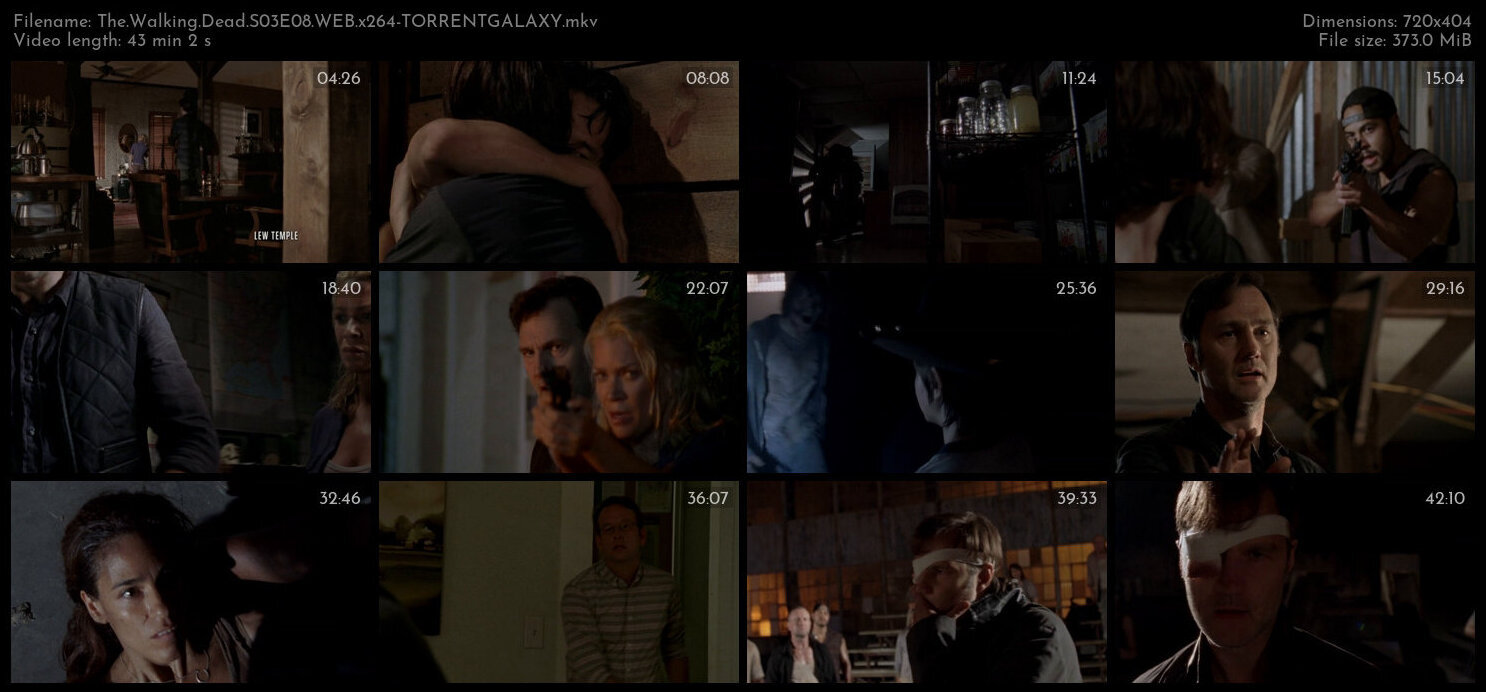 The Walking Dead S03E08 WEB x264 TORRENTGALAXY