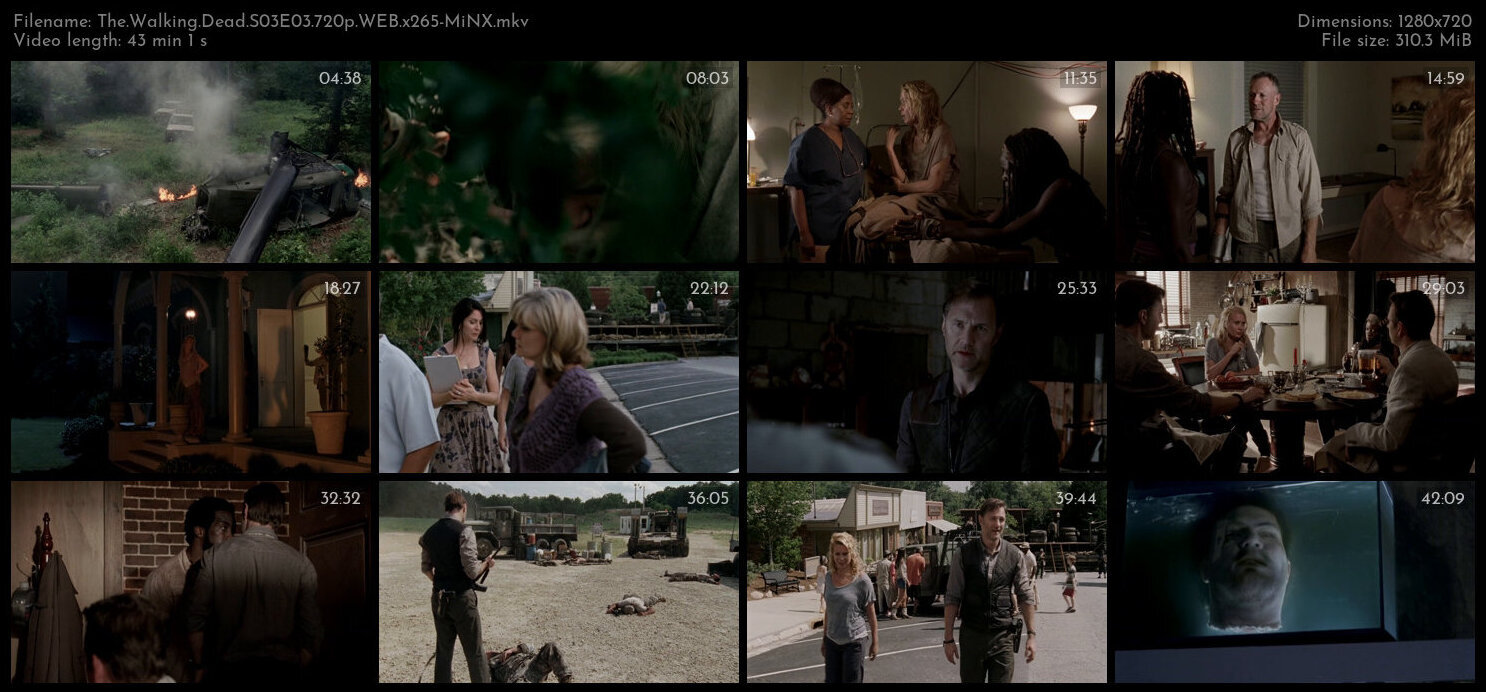 The Walking Dead S03E03 720p WEB x265 MiNX TGx