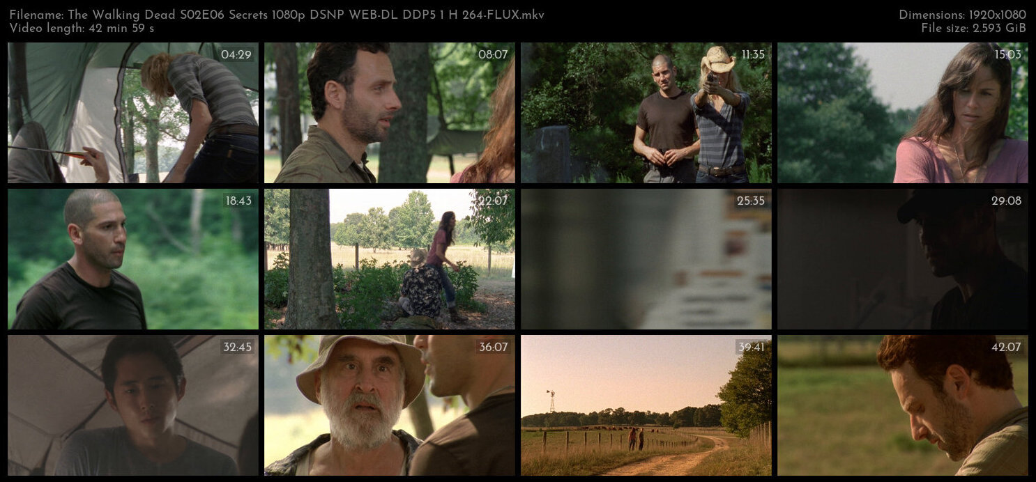 The Walking Dead S02E06 Secrets 1080p DSNP WEB DL DDP5 1 H 264 FLUX TGx