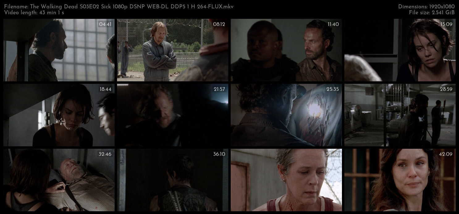 The Walking Dead S03E02 Sick 1080p DSNP WEB DL DDP5 1 H 264 FLUX TGx