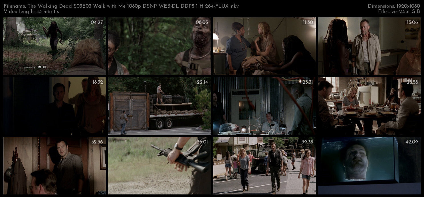 The Walking Dead S03E03 Walk with Me 1080p DSNP WEB DL DDP5 1 H 264 FLUX TGx