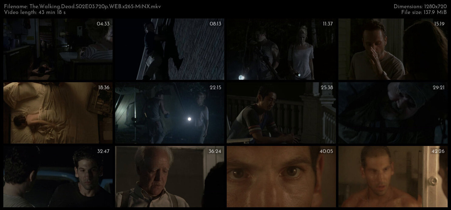 The Walking Dead S02E03 720p WEB x265 MiNX TGx