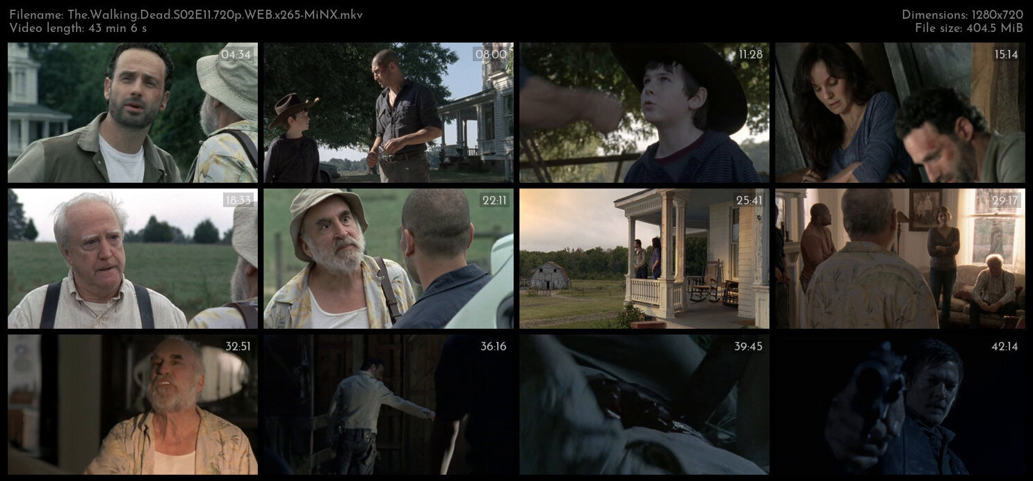 The Walking Dead S02E11 720p WEB x265 MiNX TGx