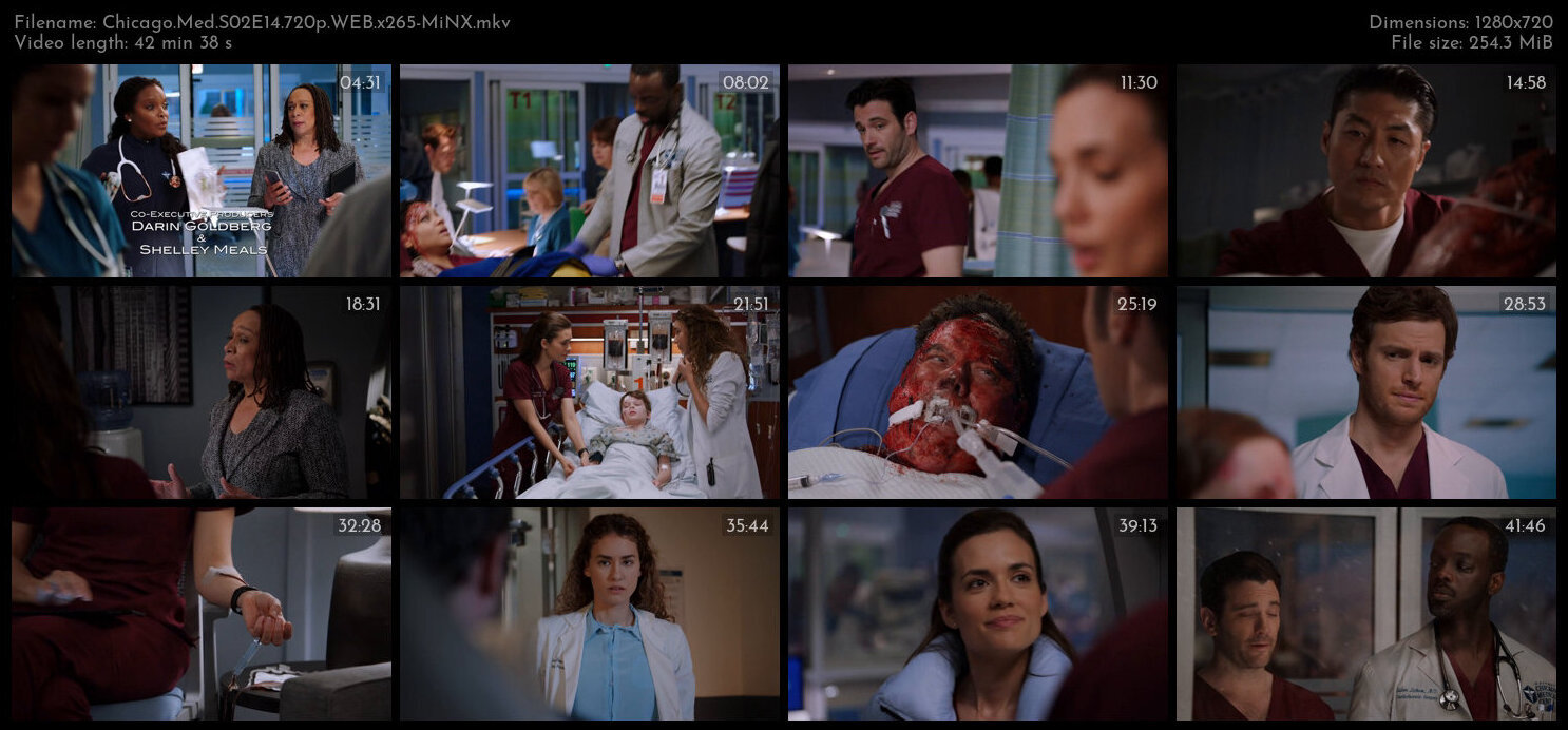 Chicago Med S02E14 720p WEB x265 MiNX TGx