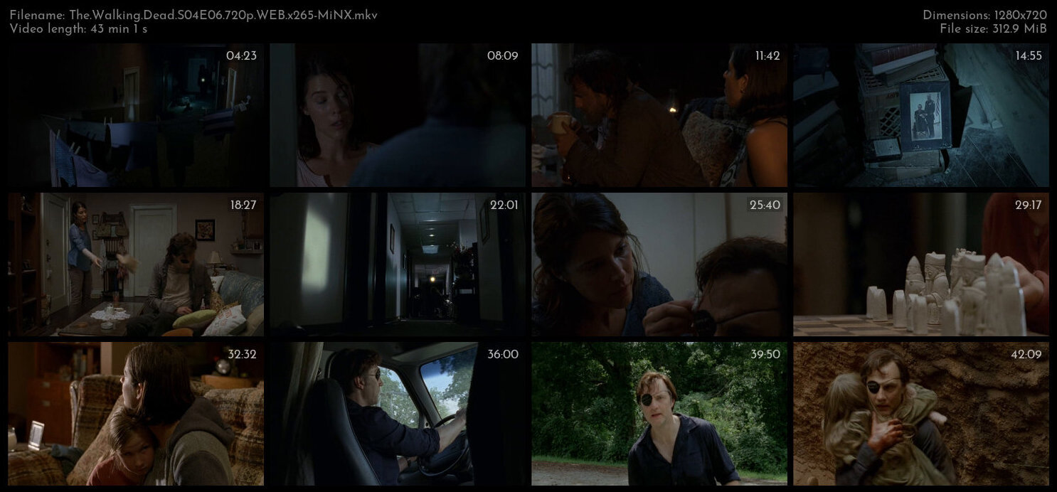 The Walking Dead S04E06 720p WEB x265 MiNX TGx