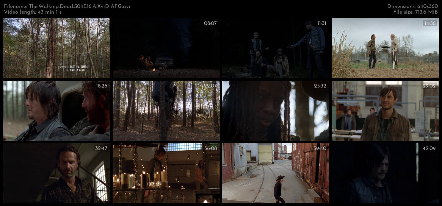 The Walking Dead S04E16 A XviD AFG TGx