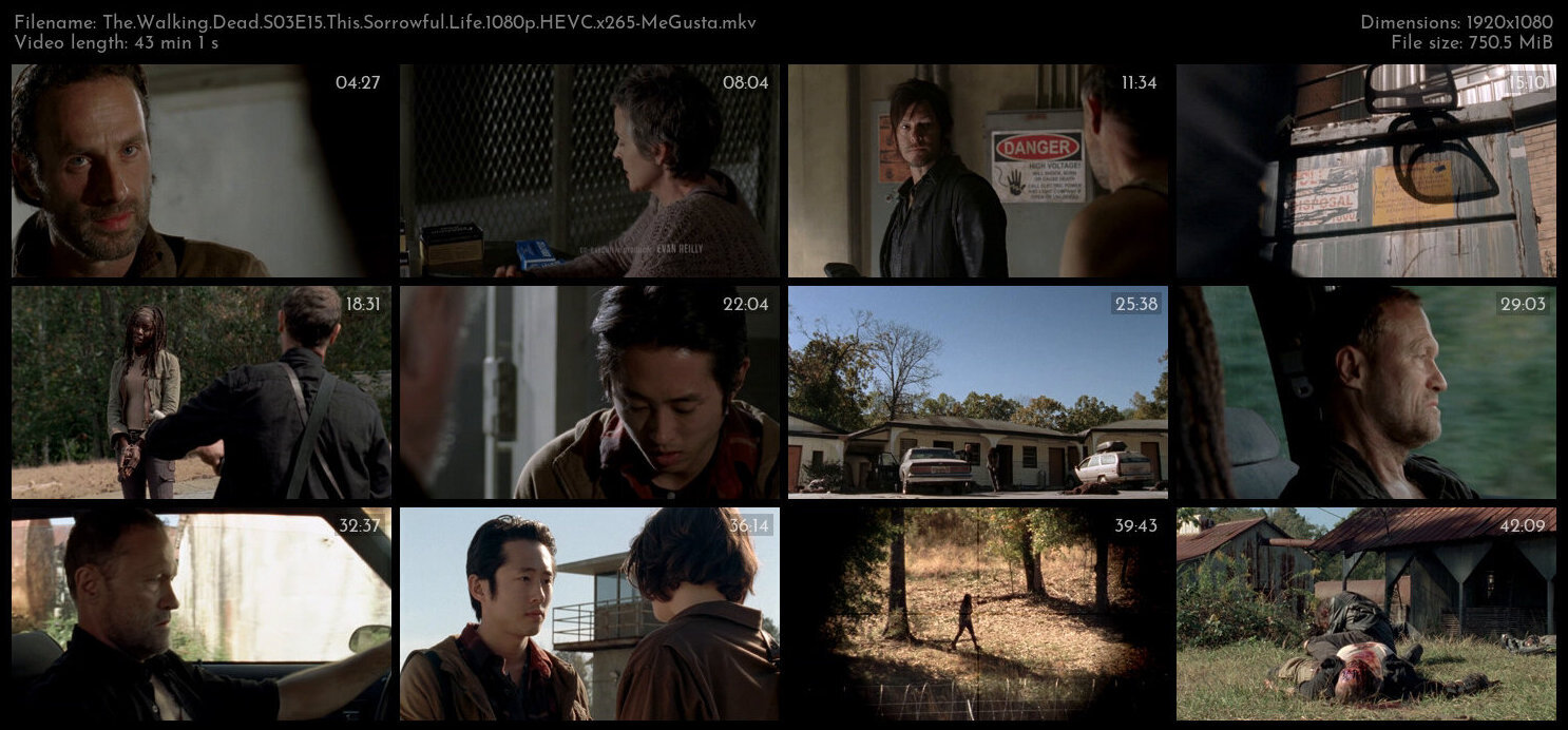 The Walking Dead S03E15 This Sorrowful Life 1080p HEVC x265 MeGusta TGx