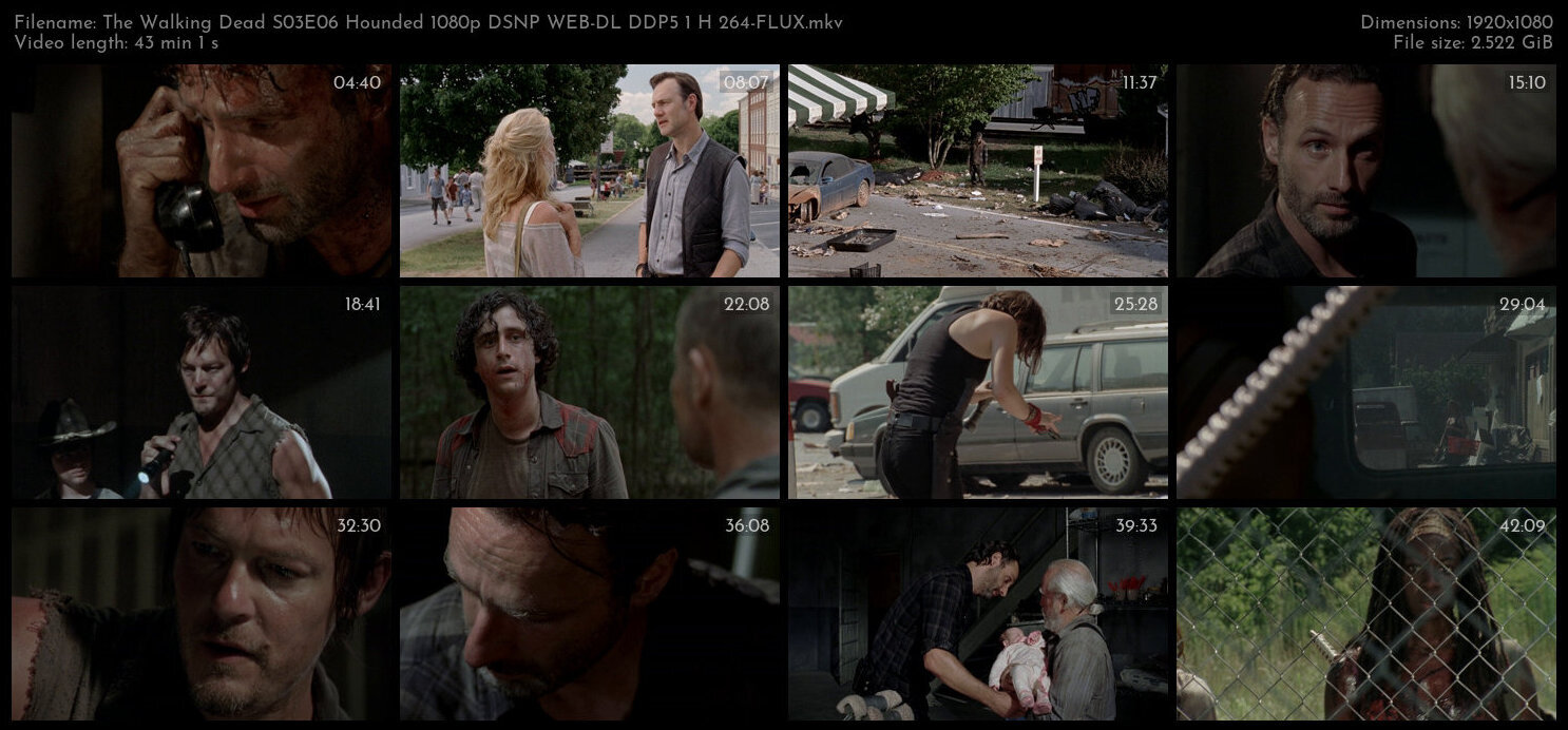 The Walking Dead S03E06 Hounded 1080p DSNP WEB DL DDP5 1 H 264 FLUX TGx