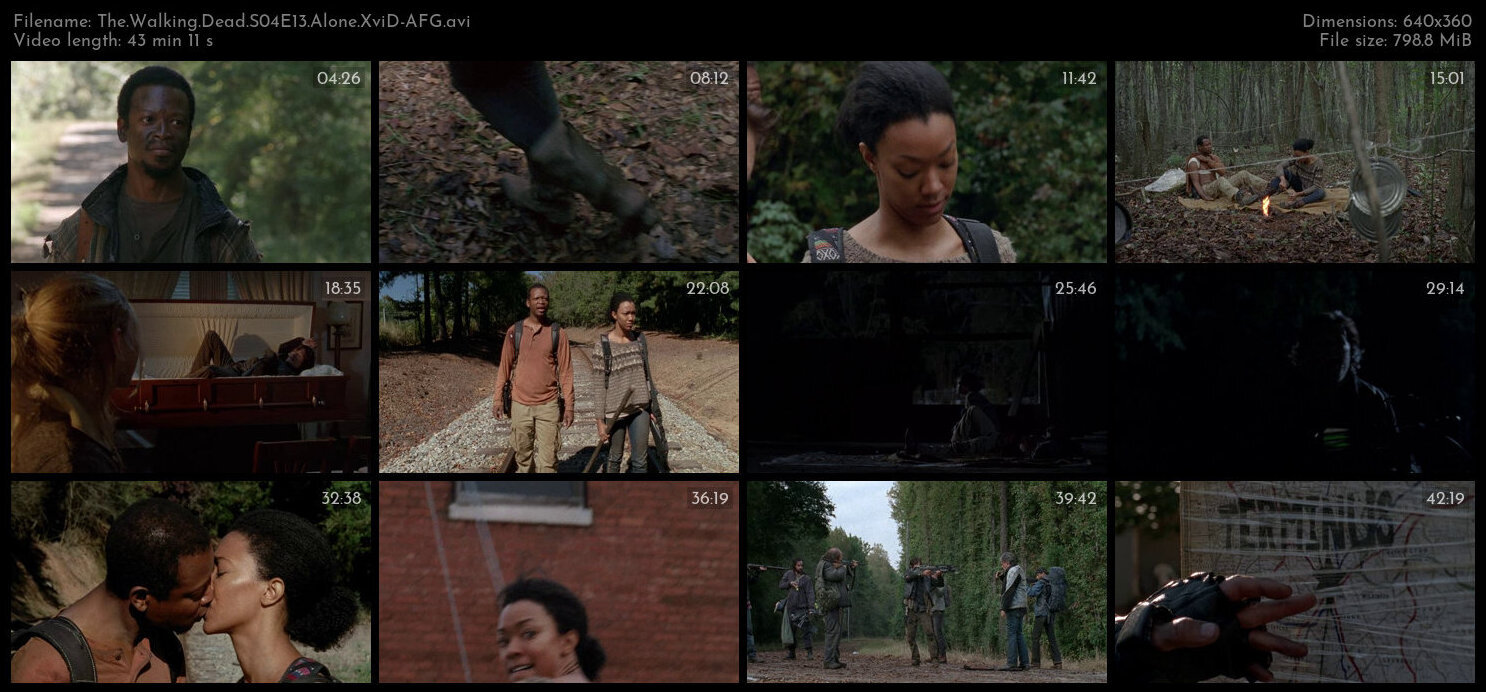 The Walking Dead S04E13 Alone XviD AFG TGx