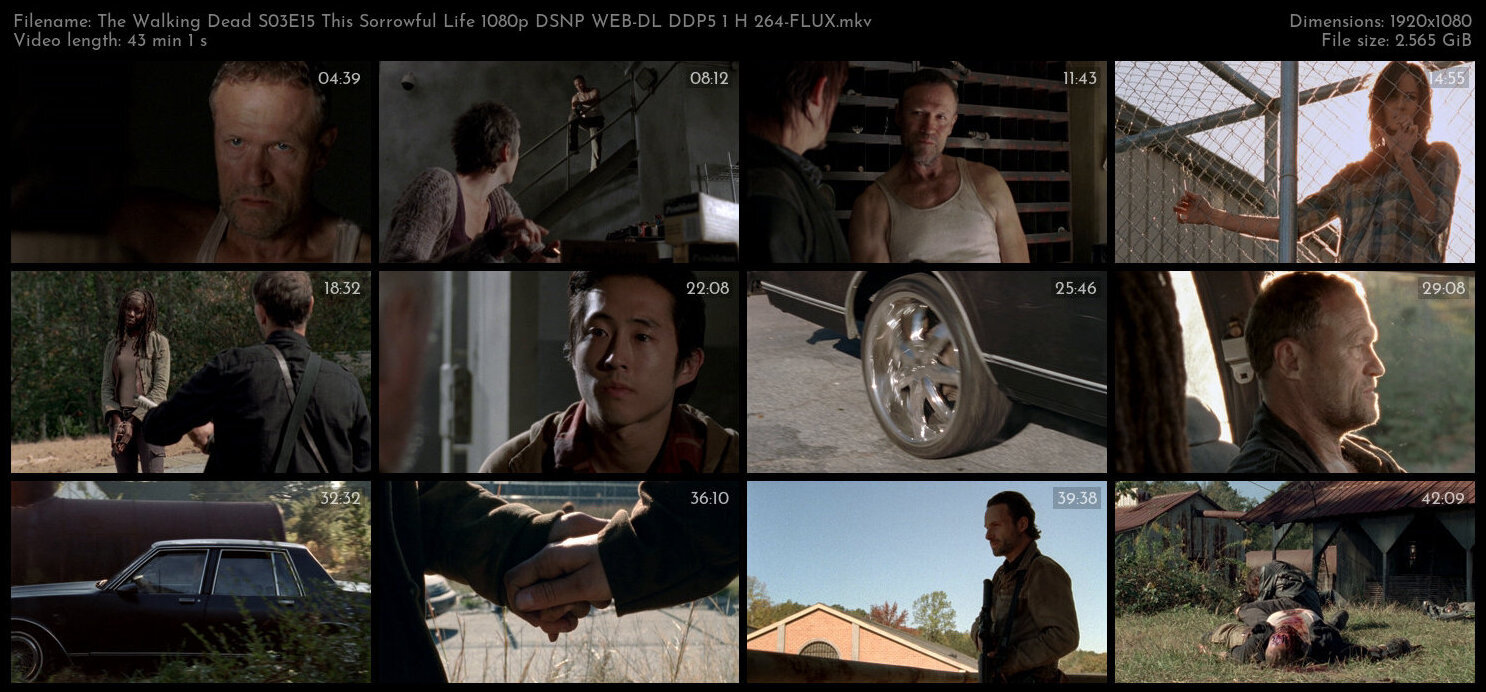 The Walking Dead S03E15 This Sorrowful Life 1080p DSNP WEB DL DDP5 1 H 264 FLUX TGx